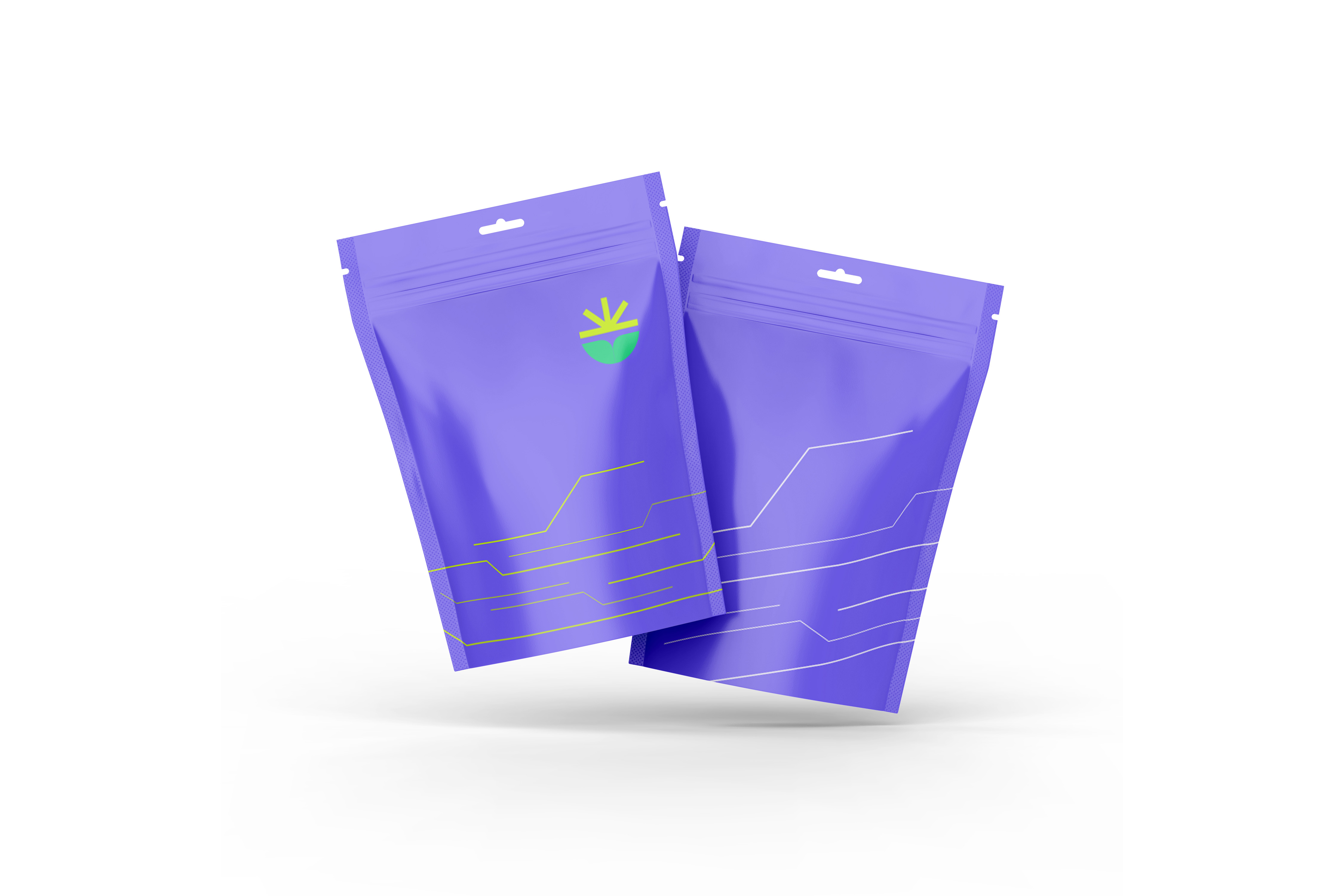Mylar Bags